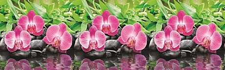Фартук № 434 Орхидеи